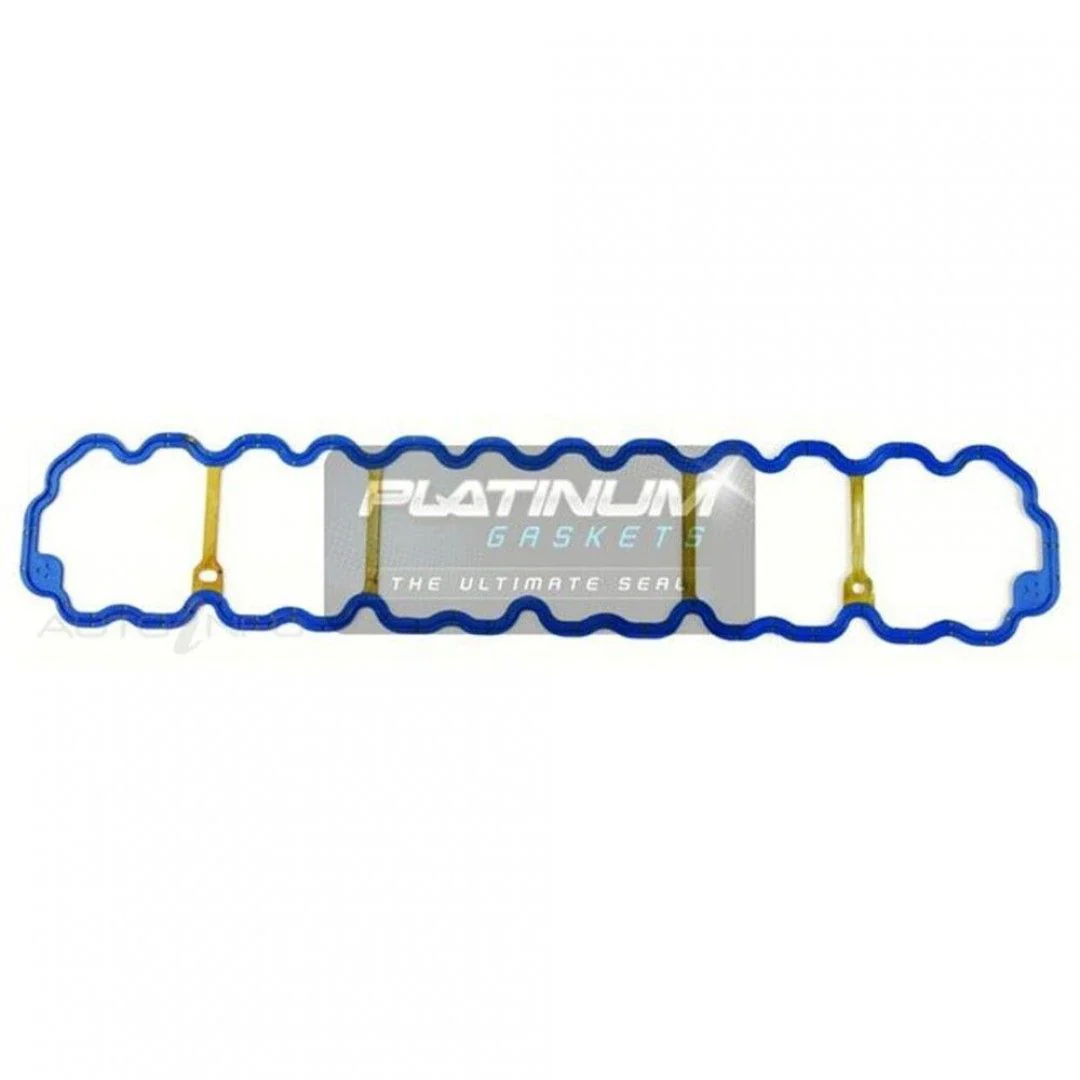 Platinum Gaskets - Rocker Cover Gasket To Suit Jeep Cherokee & Wrangler (RCG206)