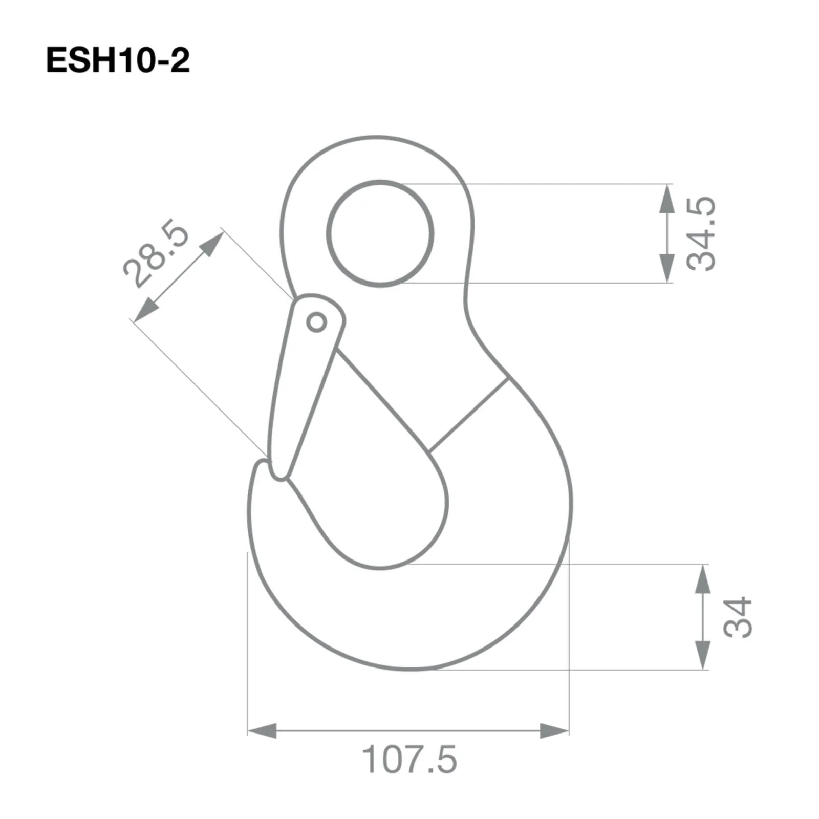 TAG | Eye Sling Hook G80 10mm 3.15T | Safety Chain Hook Pair | ESH10-2 - Image 4
